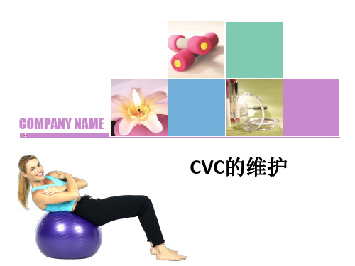 CVC的维护ppt课件