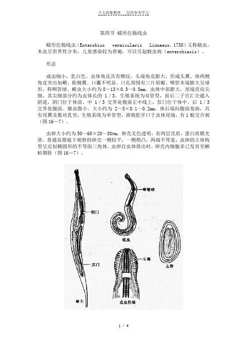 第四节蠕形住肠线虫