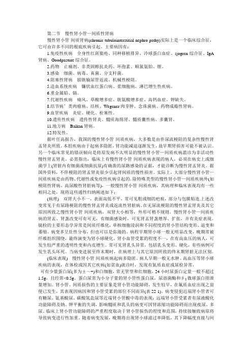 慢性肾小管—间质性肾病