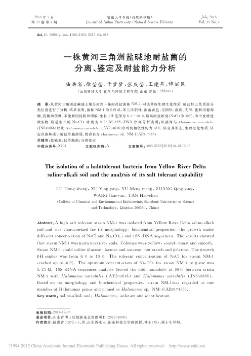 一株黄河三角洲盐碱地耐盐菌的分离_鉴定及耐盐能力分析