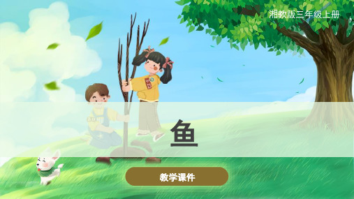 湘科版(新)小学三年级科学上册 《鱼》原创课件