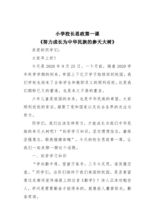 小学校长思政第一课《努力成长为中华民族的参天大树》