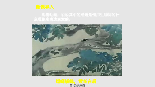 食物链教学PPT课件