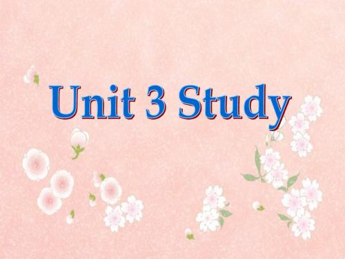 新时代大学英语第一册 unit3 study