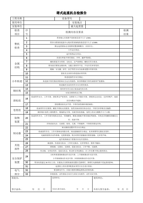 塔式起重机自检报告