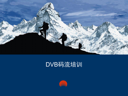 DVB码流培训(重点)解析