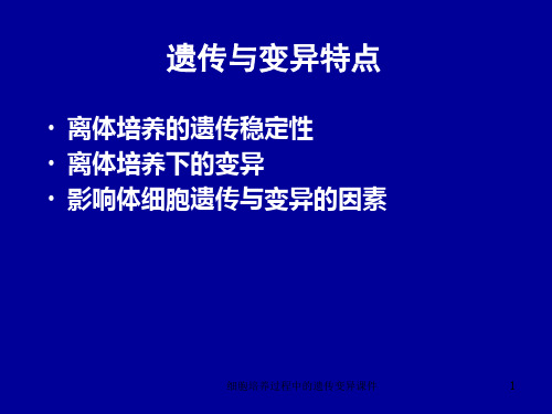 细胞培养过程中的遗传变异课件