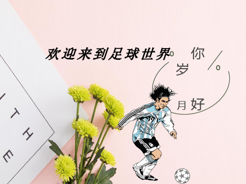 体育与健康人教版四年级-足球的比赛规则、场地、起源课件