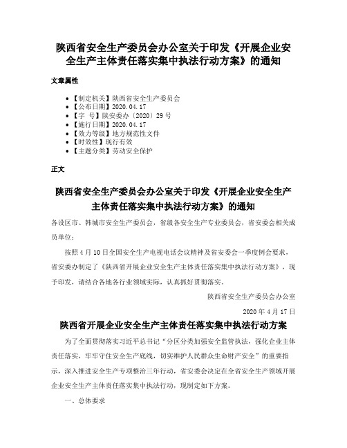 陕西省安全生产委员会办公室关于印发《开展企业安全生产主体责任落实集中执法行动方案》的通知