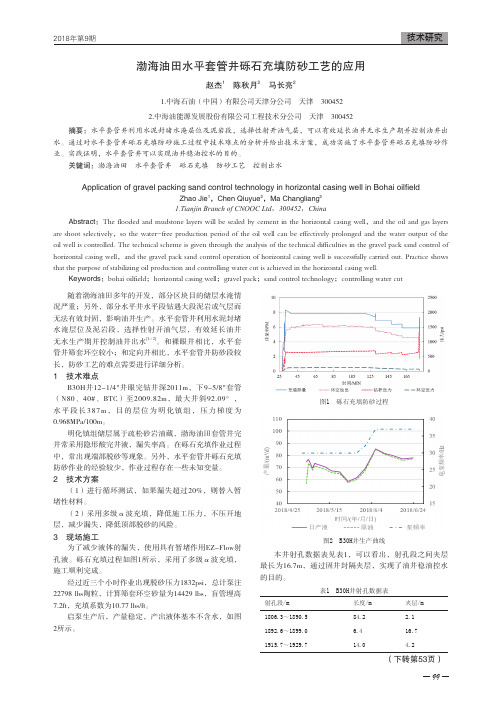 渤海油田水平套管井砾石充填防砂工艺的应用