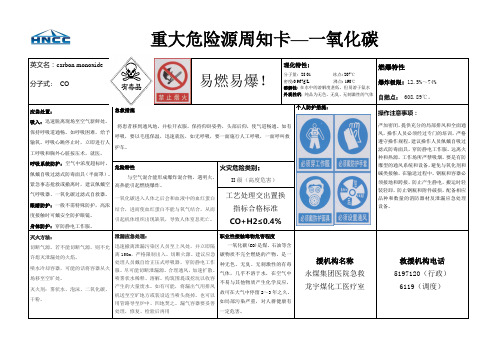 重大危险源信息卡--一氧化碳