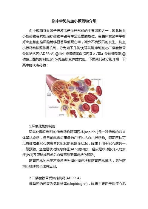 临床常见抗血小板药物介绍