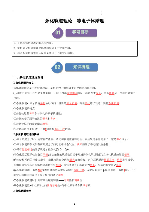 高中化学选择性必修二教案讲义：杂化轨道理论  等电子体原理(教师版)