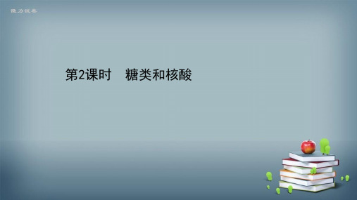 2020-2021学年新教材化学鲁科版选择性必修3课件：2.3.2 糖类和核酸