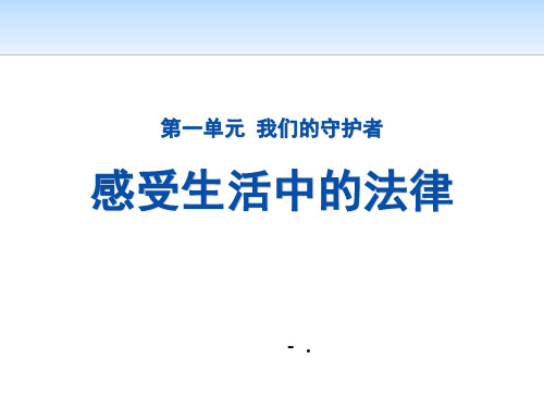 《感受生活中的法律》我们的守护者PPT