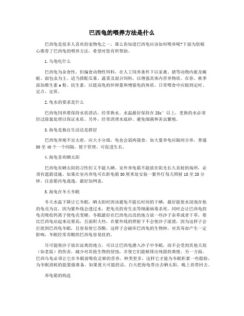 巴西龟的喂养方法是什么