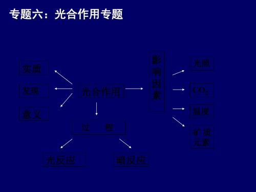 光合作用专题 PPT课件 人教课标版