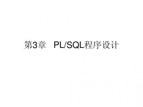 第3章 PLSQL