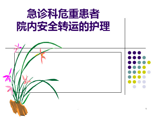 急诊科危重患者院内安全转运护理概论