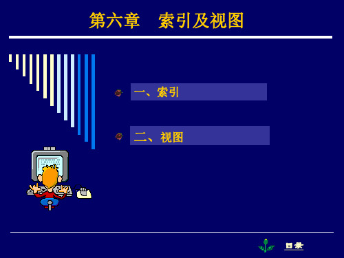 第六章 索引及视图-数据库原理与技术(SQL Server 2008)-申时凯-清华大学出版社