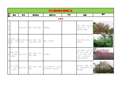 四川园林绿化植物汇总