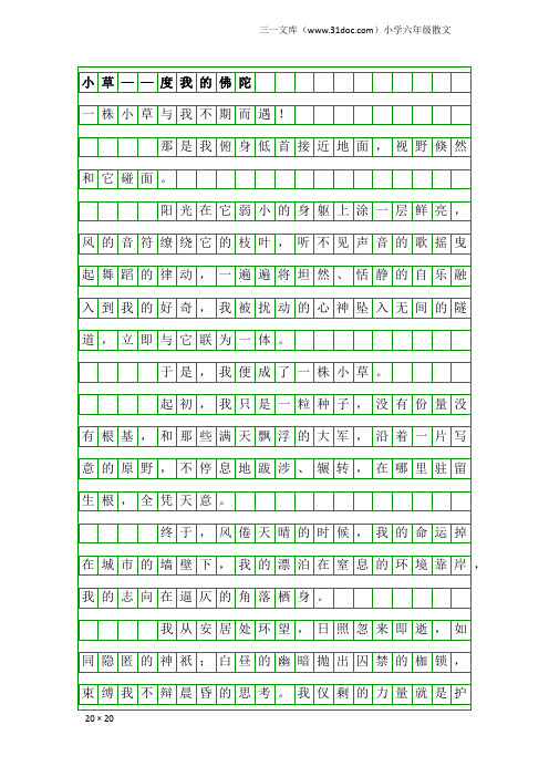 小学六年级散文：小草——度我的佛陀