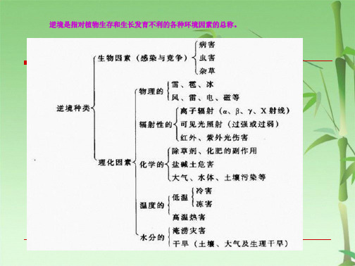 第二章环境因子对园林树木的影响(共60张PPT)