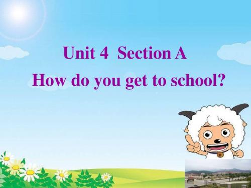 人教版初二八年级英语上册 Unit 4 How do you get to school  PPT课件