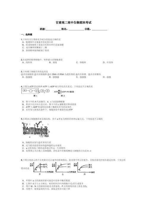 甘肃高二高中生物期末考试带答案解析
