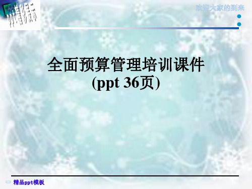 全面预算管理培训课件(ppt 36页)