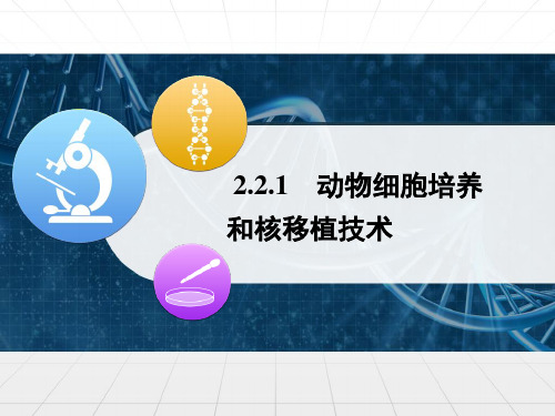 人教课标版生物选修3专题2、1《动物细胞培养和核移植技术》精品课件(共37张PPT)[优秀课件资料]