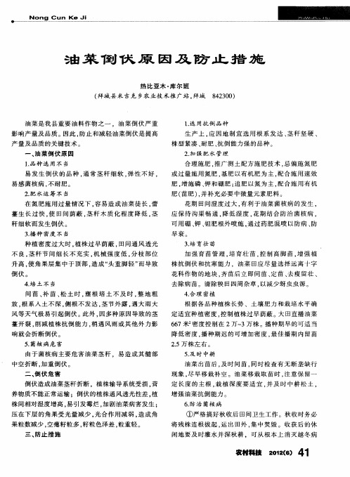 油菜倒伏原因及防止措施