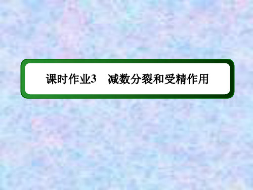 2021学年生物人教版必修2课件：课时作业 2-1 减数分裂和受精作用 