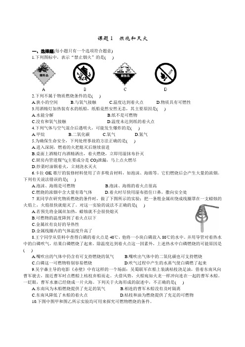 九年级化学上册7.1 燃烧和灭火 练习1 含答案