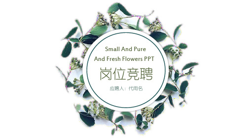 【精品】医药经理竞聘PPT