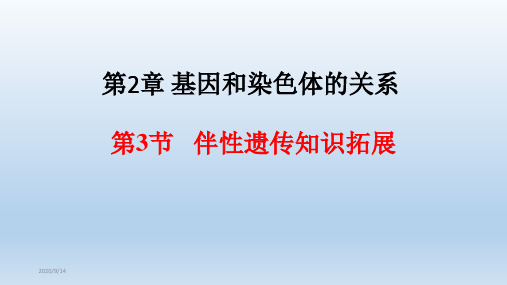 新教材人教版《伴性遗传》ppt公开课课件1