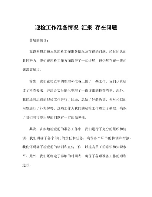 迎检工作准备情况 汇报 存在问题