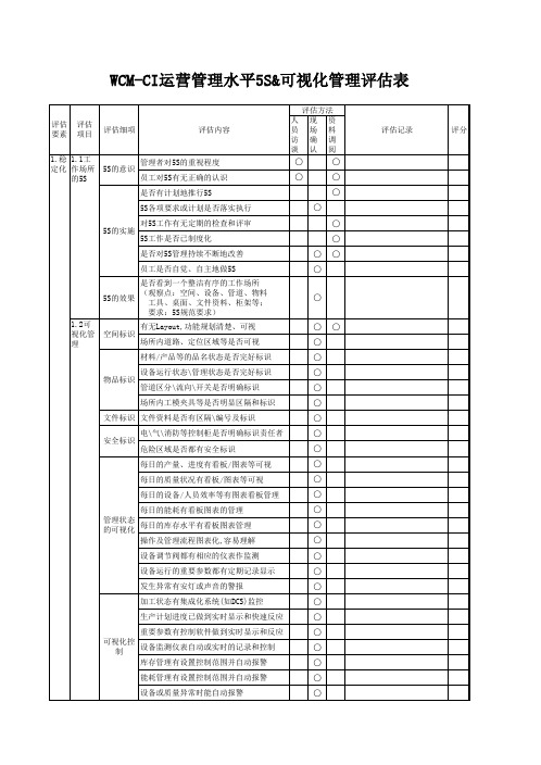 工具-02运营管理5S及可视化管理评估表-精益现场使用