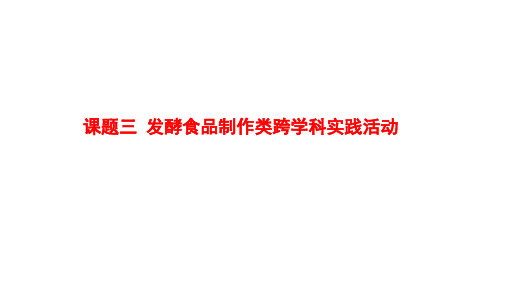 2025年广东省中考生物总复习：主题七+生物学与社会 跨学科实践课题三+发酵食品制作类跨学科实践活动