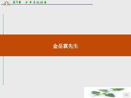 高一语文苏教必修2课件：4.1.2 金岳霖先生