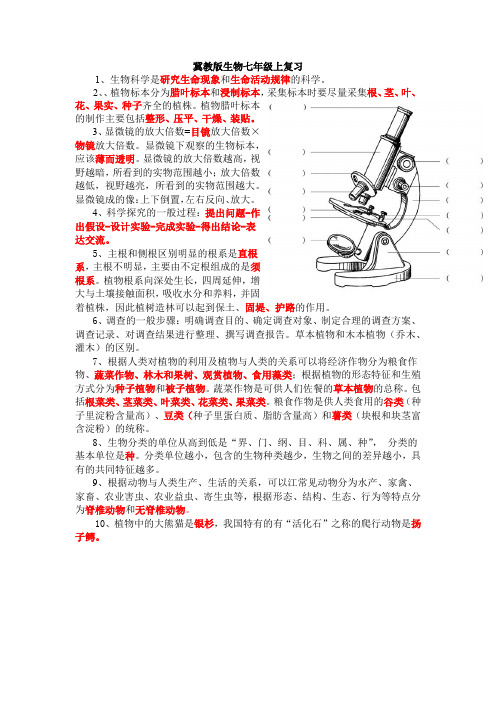 冀教版生物七年级上复习