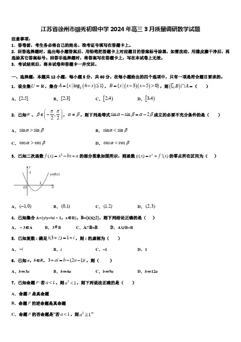 江苏省徐州市撷秀初级中学2024年高三3月质量调研数学试题