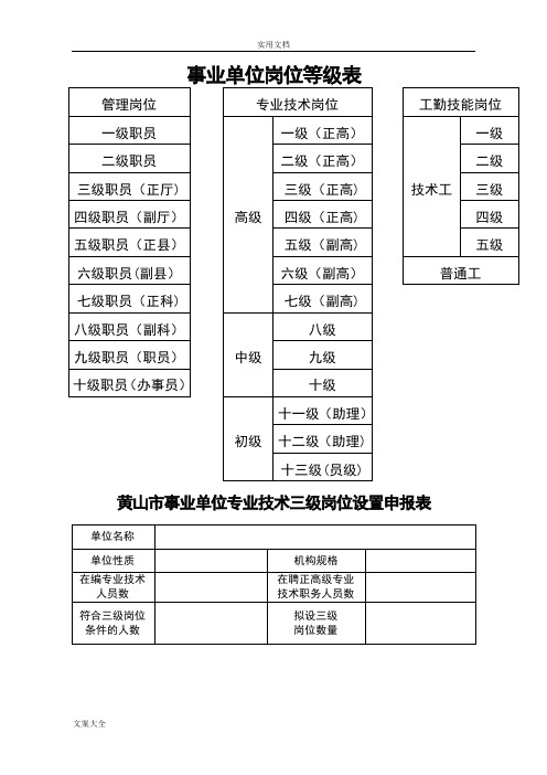 事业单位专业技术等级表