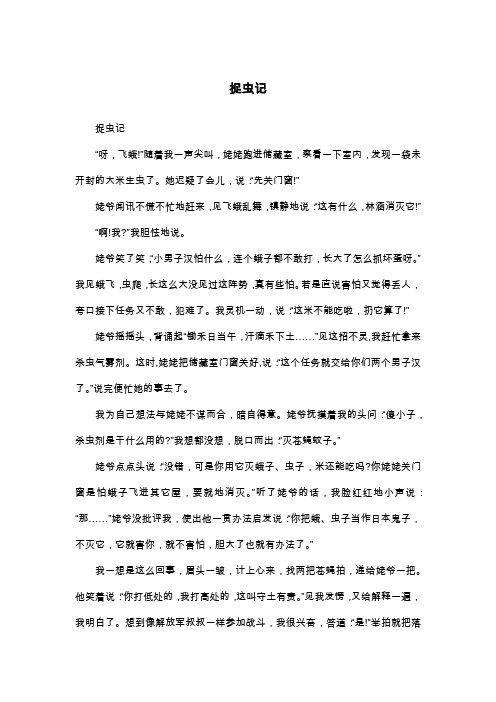 捉虫记_叙事作文