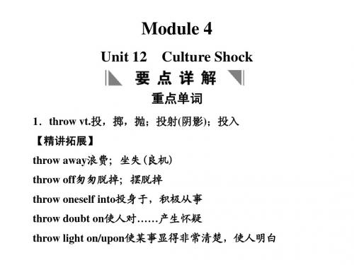 Unit 12 Culture Shock