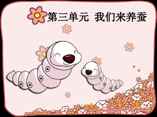 《我们来养蚕》.ppt