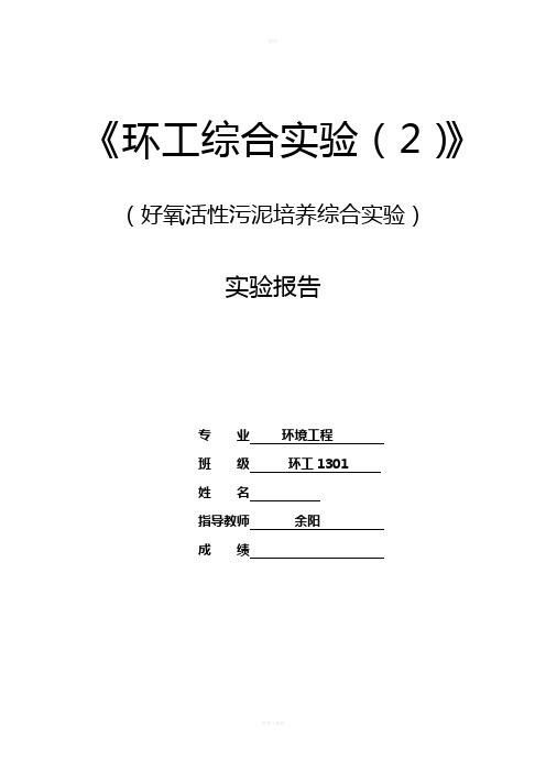 好氧活性污泥培养综合实验