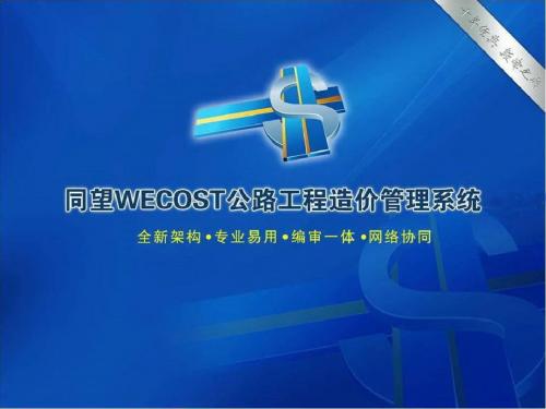 同望WECOST操作基本篇