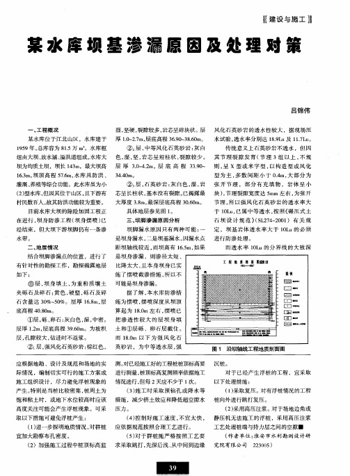 某水库坝基渗漏原因及处理对策