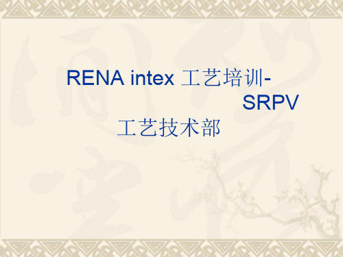 RENA-intex培训